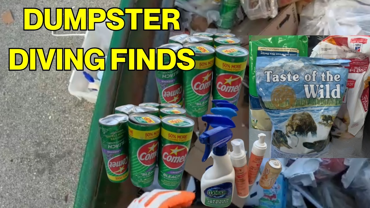 Dumpster Diving Finds 