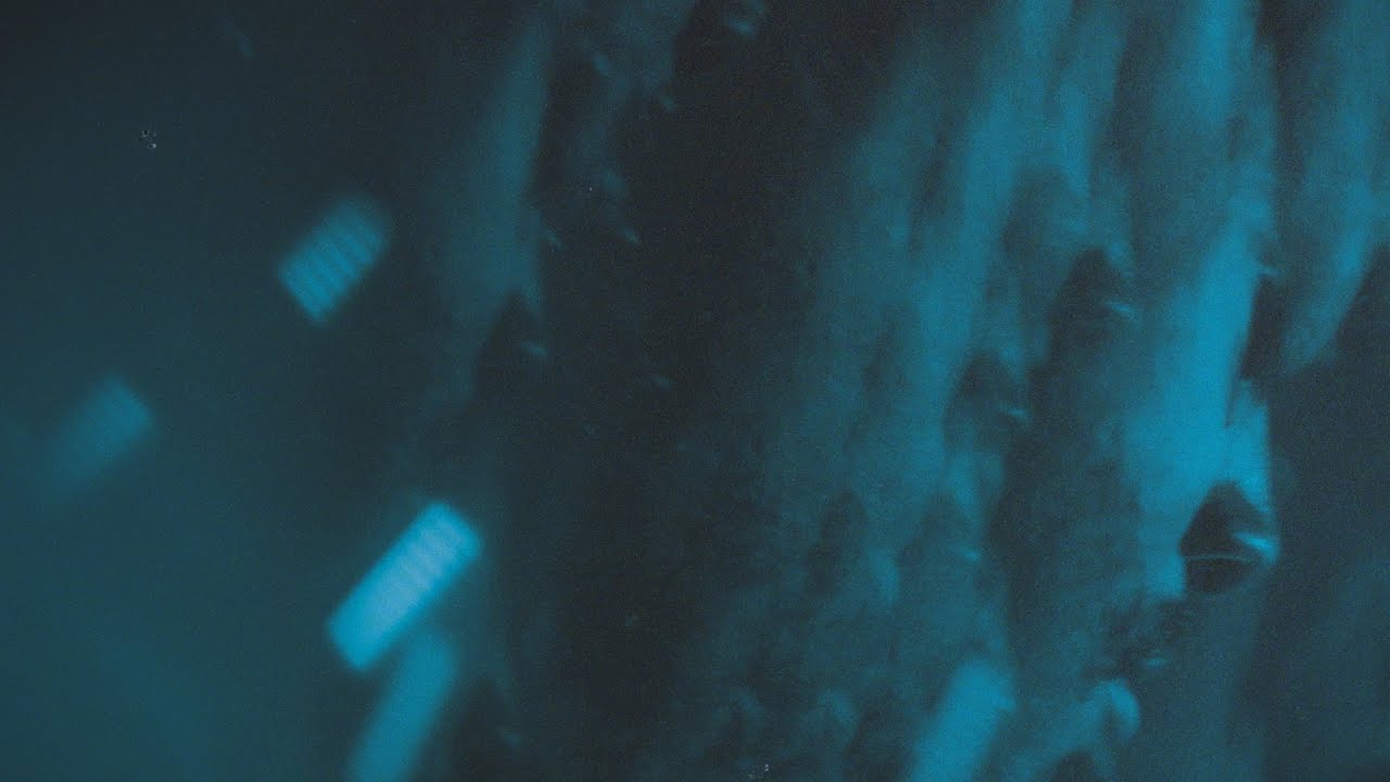 VagueEightySix - Feelings (Official Video)