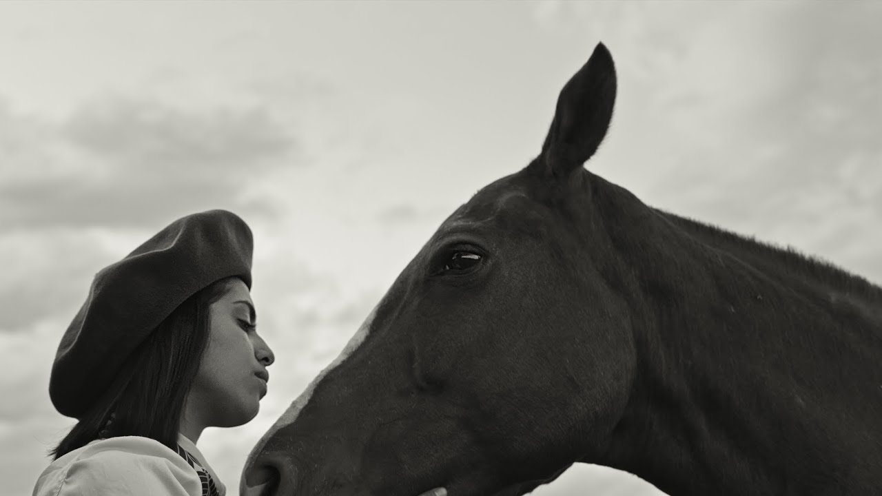 Gaucho Gaucho | Officiële NL trailer | 3 april in de bioscoop