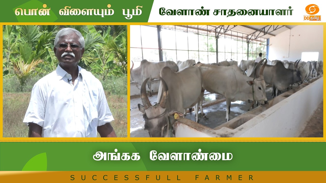 அங்கக வேளாண்மை | Successful Farmer #farming #farm