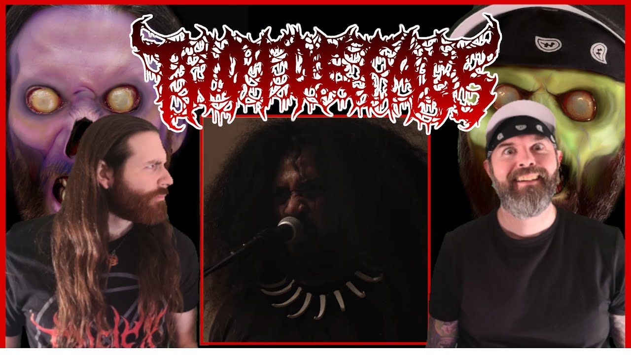 🤘Shepherds Reign - TOA - REACTION
