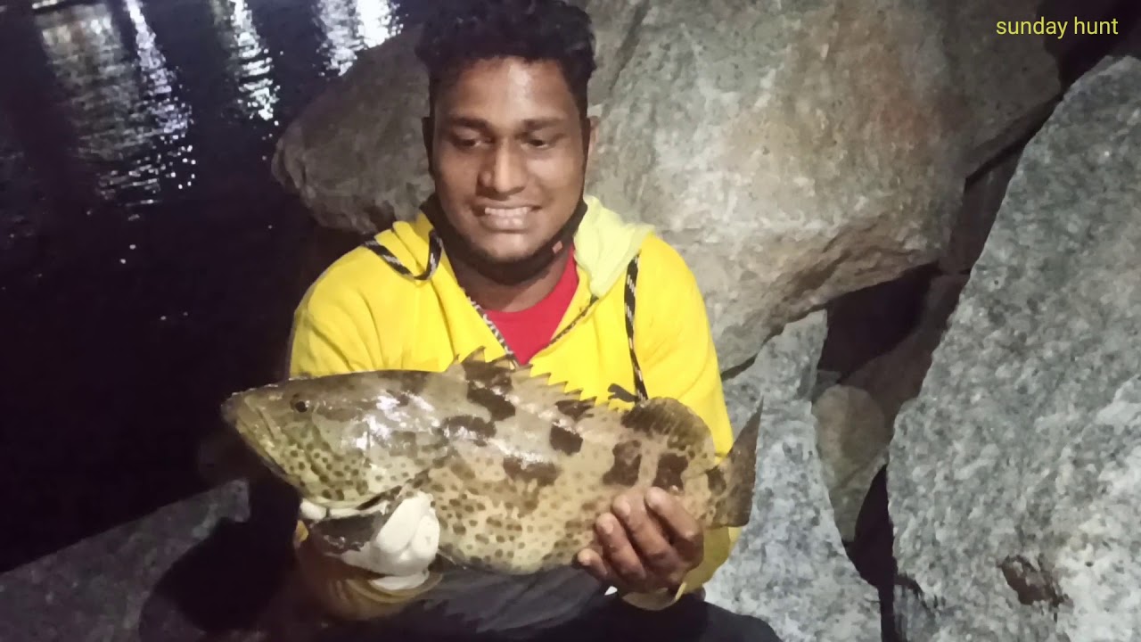 Hamour fishing at vizhinjam harbour