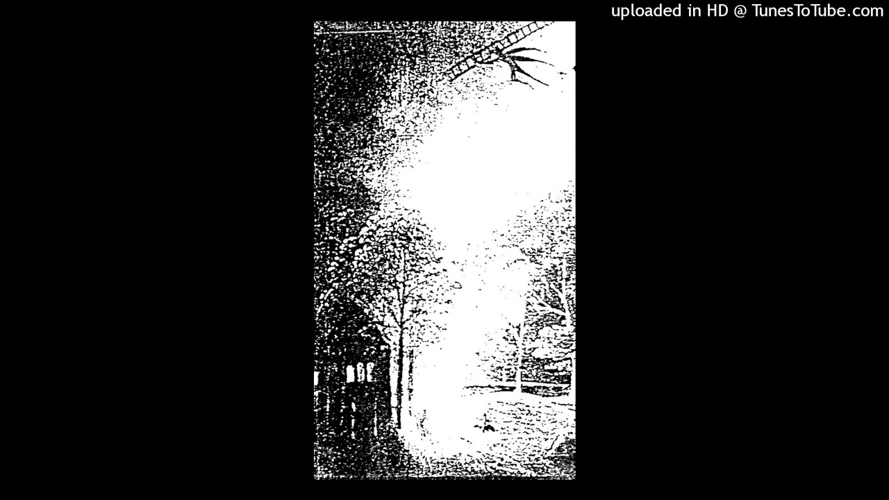 Dohlensturm - (Mein) Privileg Zum T&ouml;ten