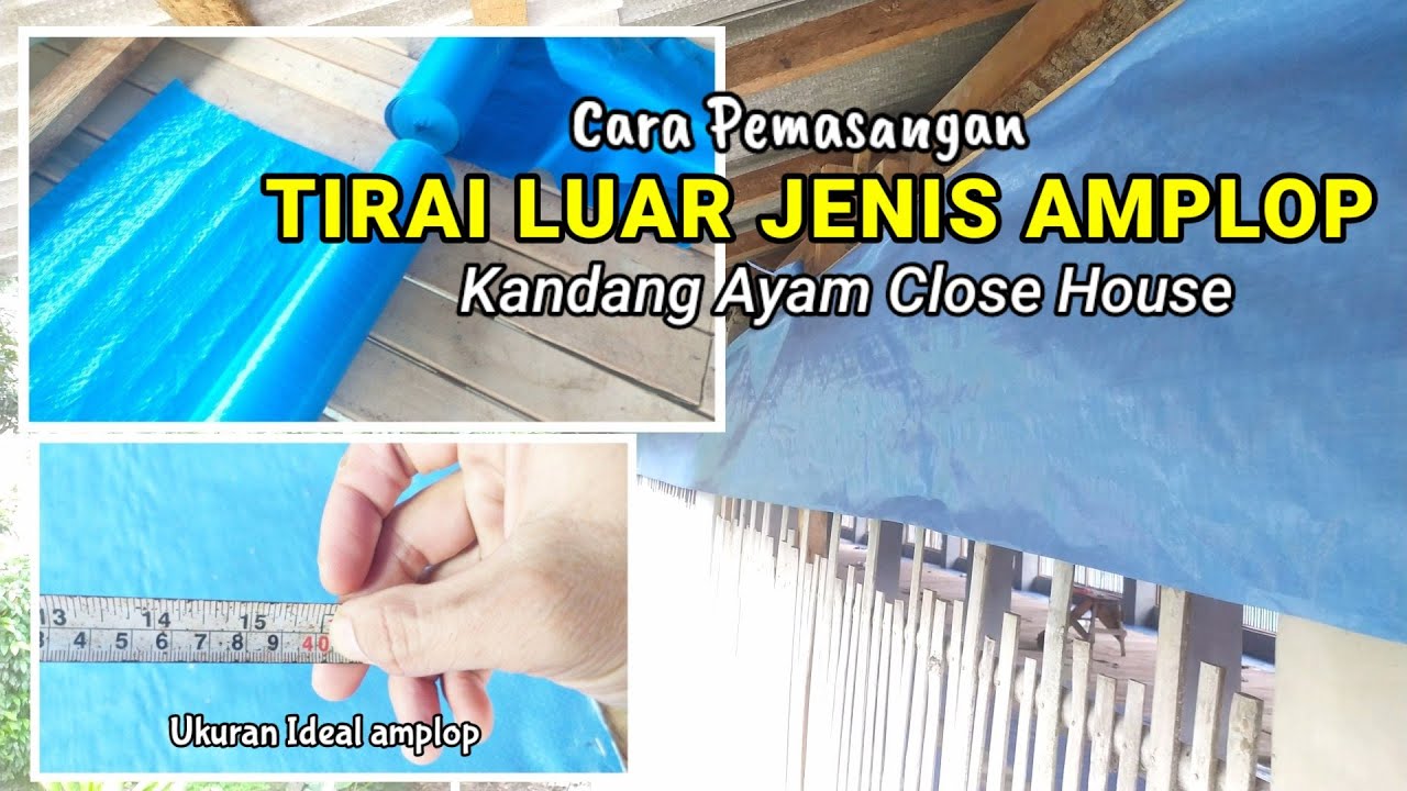 (Short) Membuat kandang close house - Tirai kandang close house jenis amplop