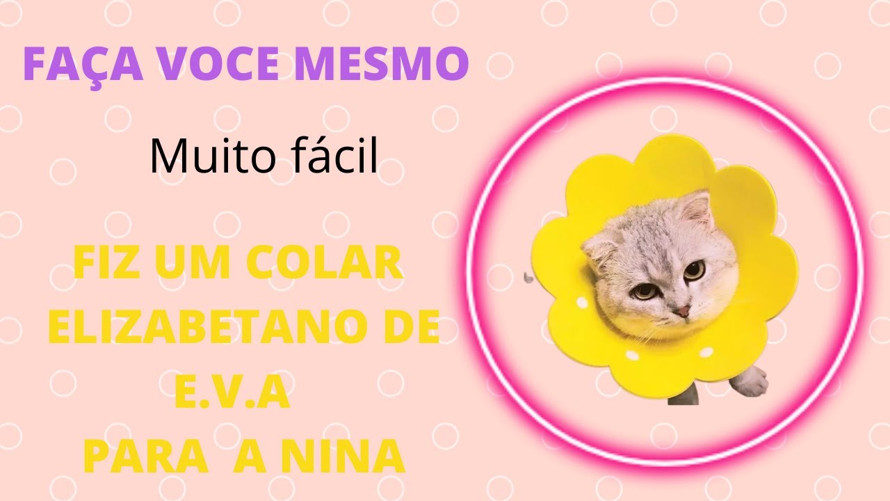 Faça você mesmo! Colar para gatos de EVA * baixo custo*