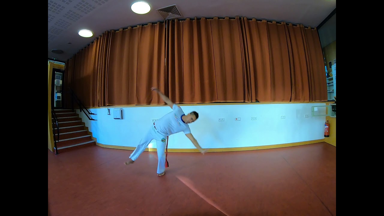 Apprendre macaque de la position debout/ macaco