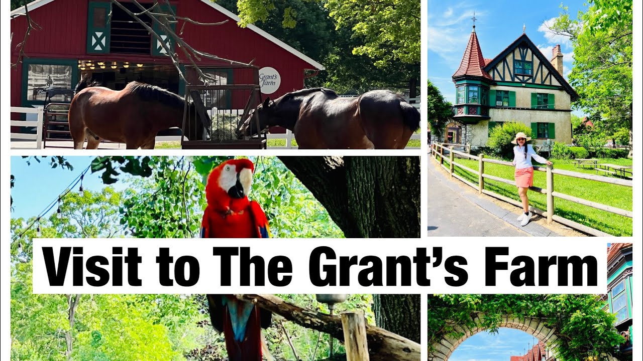My visit to The Grant’s Farm | St. Louis, Missouri | 4K