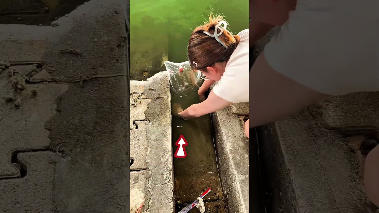 Can You Really Find Fish in Dirty Water?