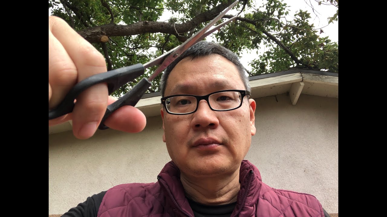 ASMR Outdoor Haircut Spray Bottle & Head Massage Happiness! ✂️💦🎉