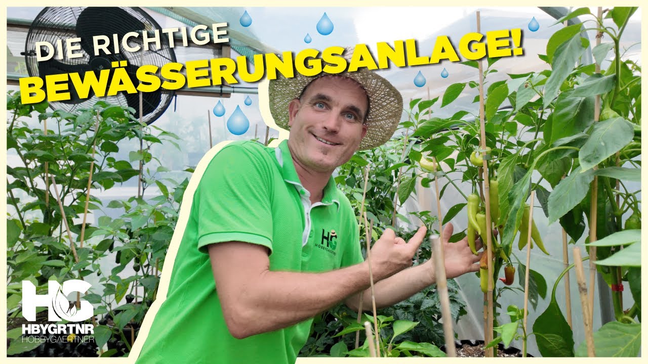 Bewässerungsanlagen für Zuhause: warum nicht gleich so, Gardena?