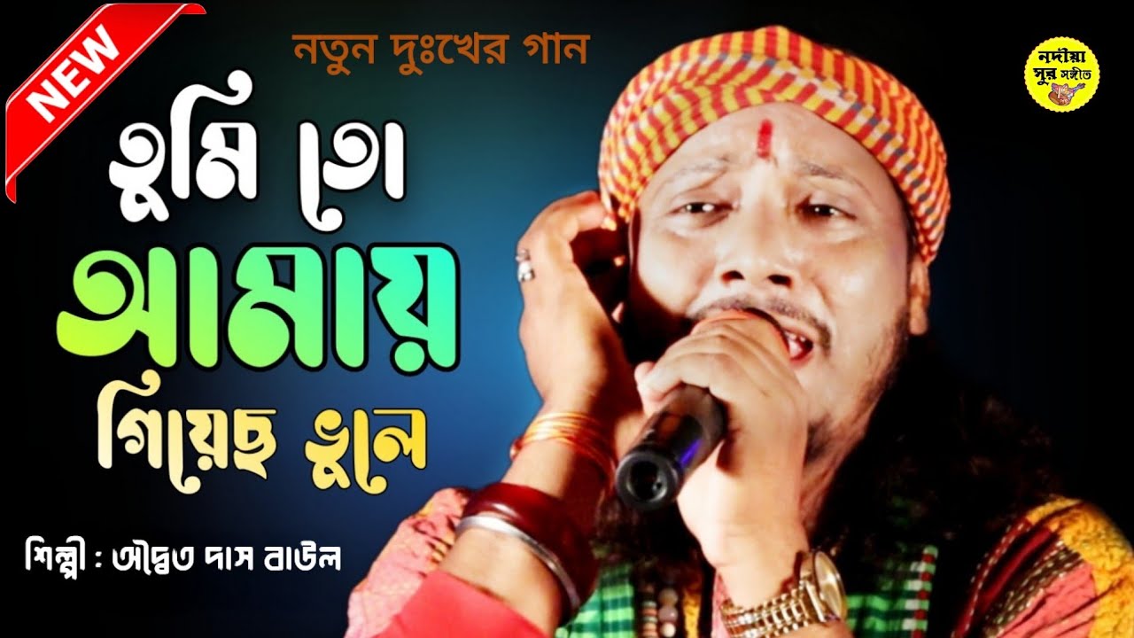 তুমি তো আমায় গিয়েছো ভুলে ! অদ্বৈত দাস বাউল ! tumi to amay giyecho vule ! adwaita das baul