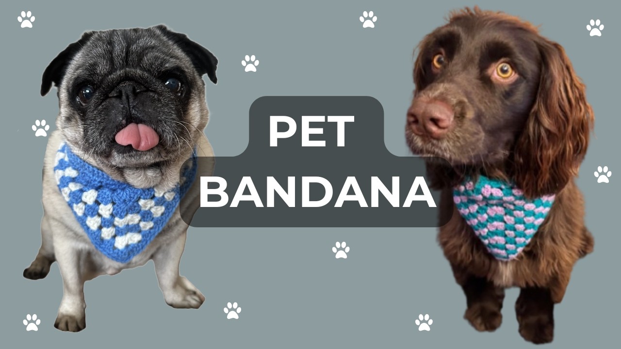 Pet Bandana | How To Crochet