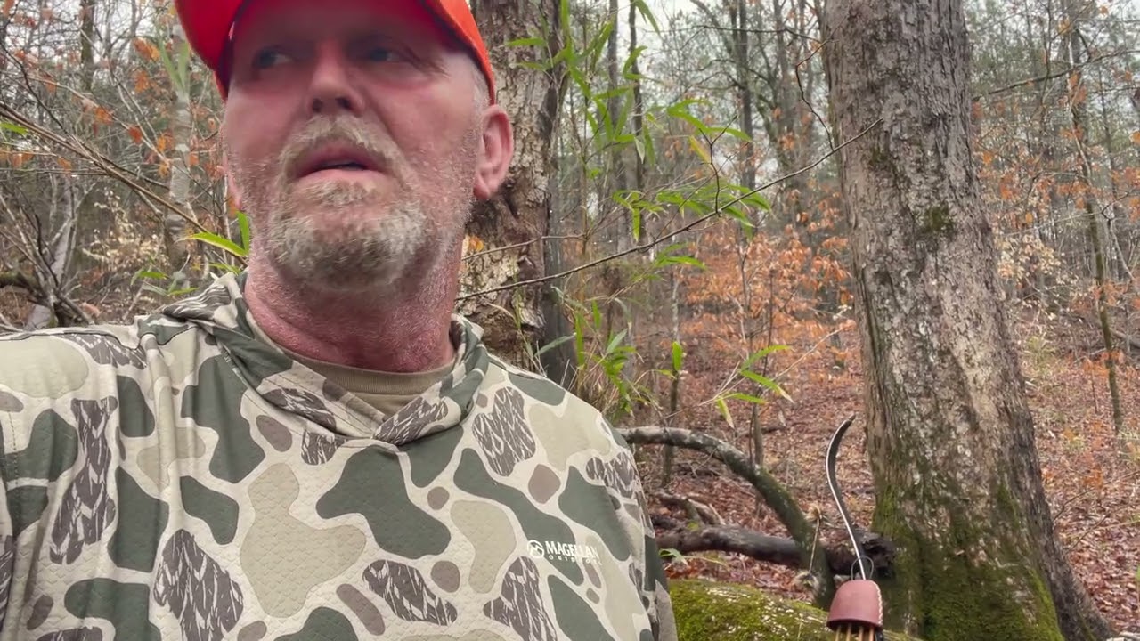 Rainy Morning Loop Looking for Pigs #tradtionalarchery#publicland# pighunting