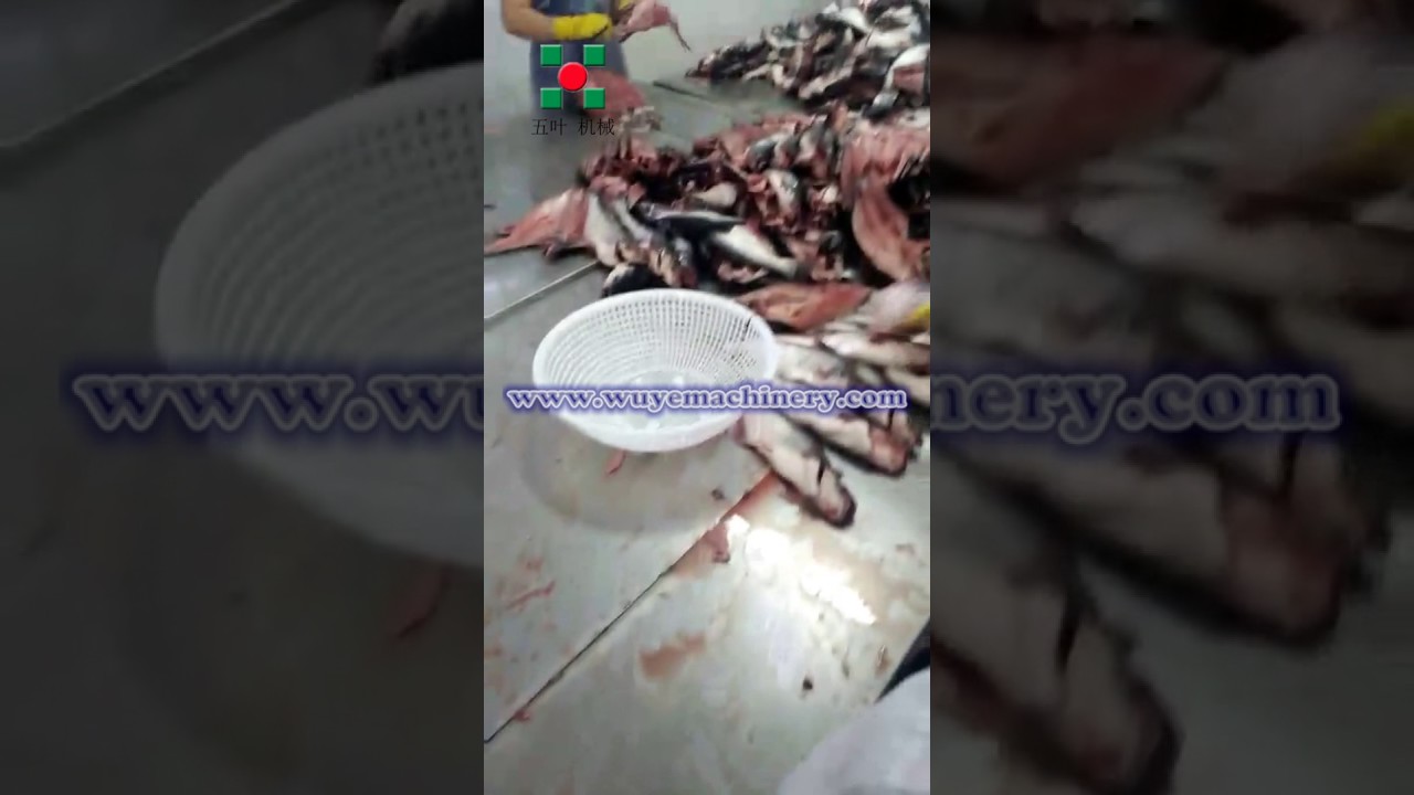 Fish fillet machine fish processing machines Fish equipment frozen fish production line