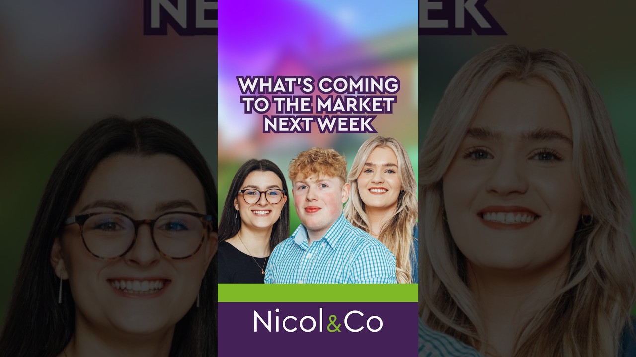 What’s coming to market… and where we’ve been this week 👀