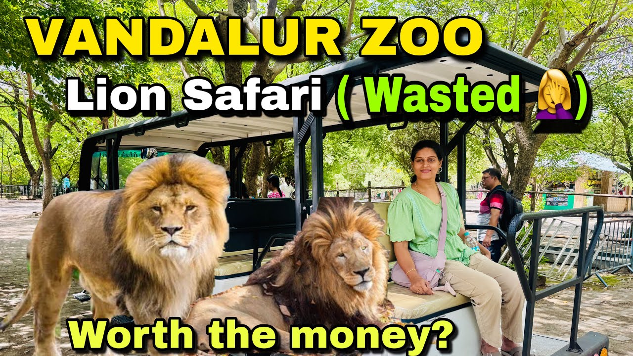 LION SAFARI | Vandalur Zoo | Tariff? | Worth the Money | Full Details | Battery Car