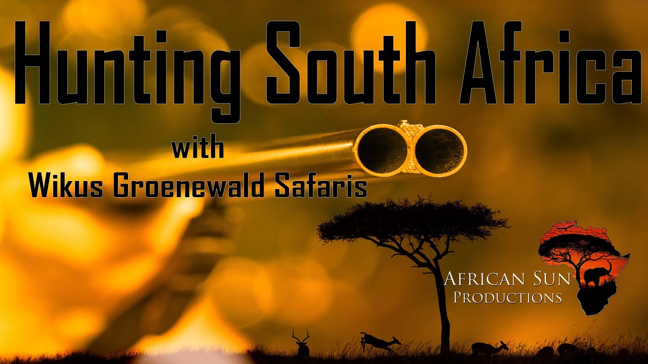 How many species can we find? Hunting a full bag with Wikus Groenewald Safaris