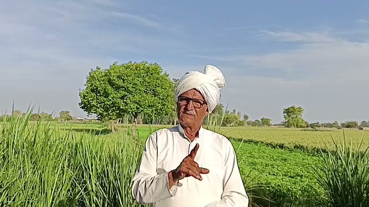 बड़ी गाड़ी मांगने वाले दूल्हे को ना गाड़ी मिली ना दुल्हन मिली ससुराल में खुलने वाला मोड़ खुला थाने मे
