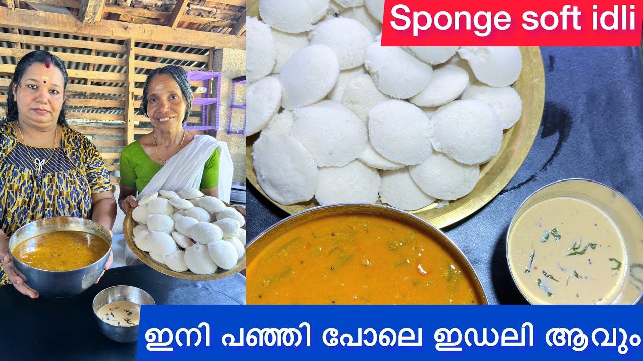 പഞ്ഞി പോലുള്ള soft ഇഡലി ഇതാ മുത്തശ്ശിടെ രഹസ്യം | മാവ് അരക്കുമ്പോൾ ഇത് ചേർത്താൽ മതി | Sponge Idli