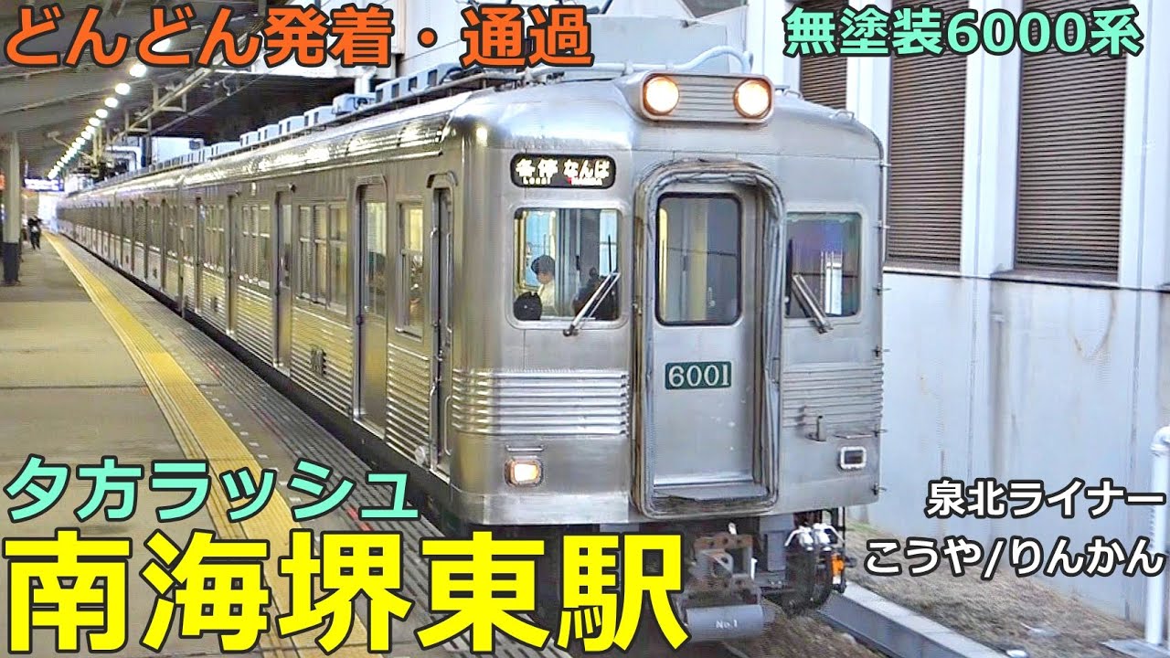 南海堺東駅 3🚃どんどん電車が発着・通過！●無塗装6000系、特急 泉北ライナー・こうや・りんかん、急行、準急 等／夕方ラッシュ 高野線