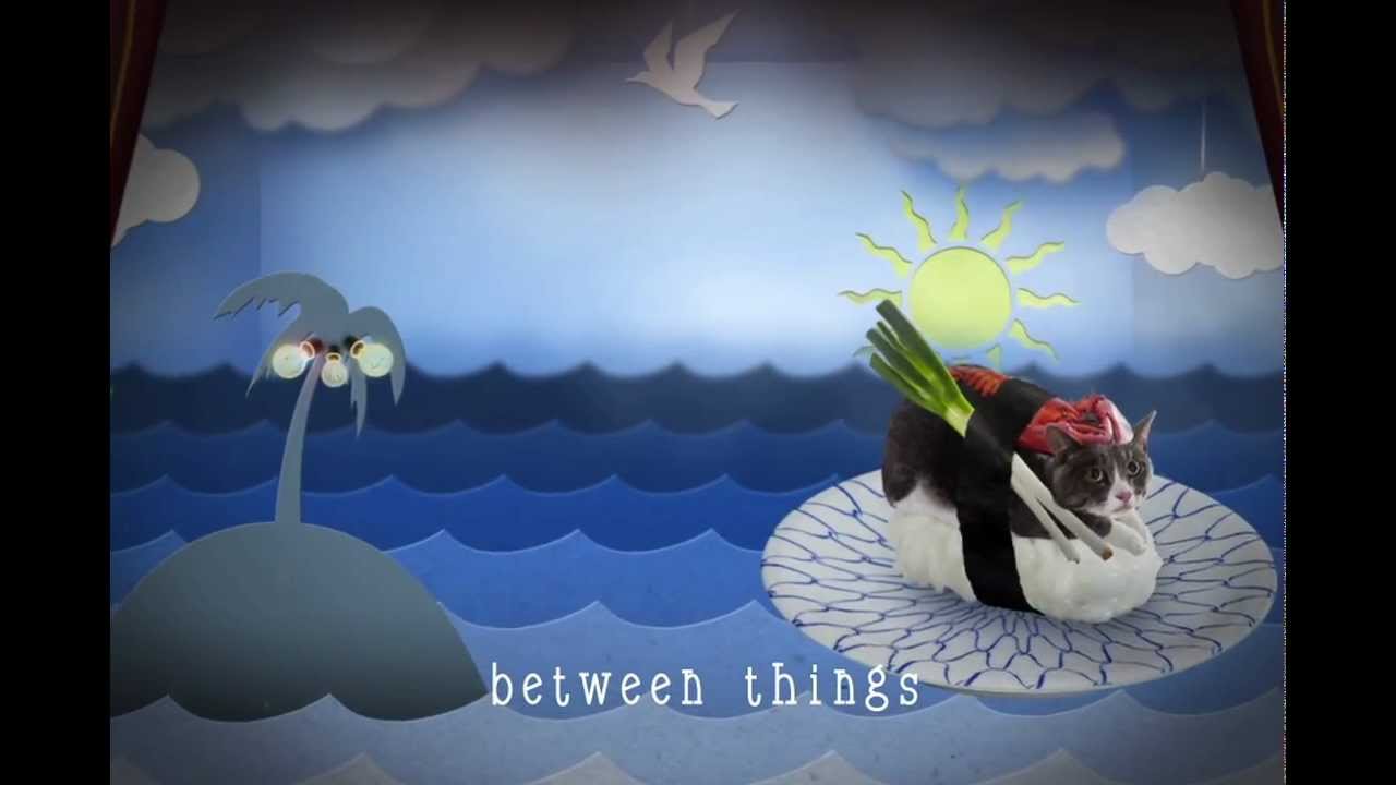 A magical combination - the adventures of the Sushi cat