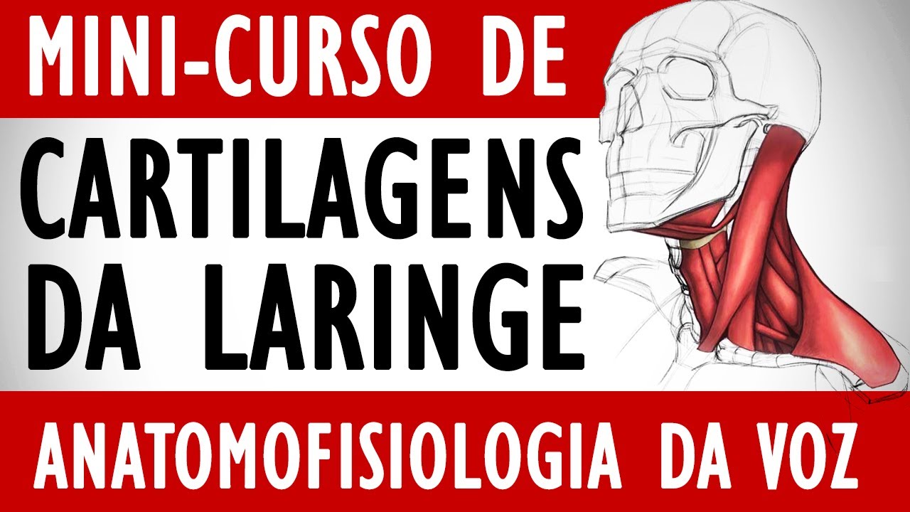 Conheça as Cartilagens da Laringe - Voice Lab (Mini-curso de Anatomofisiologia da Voz)