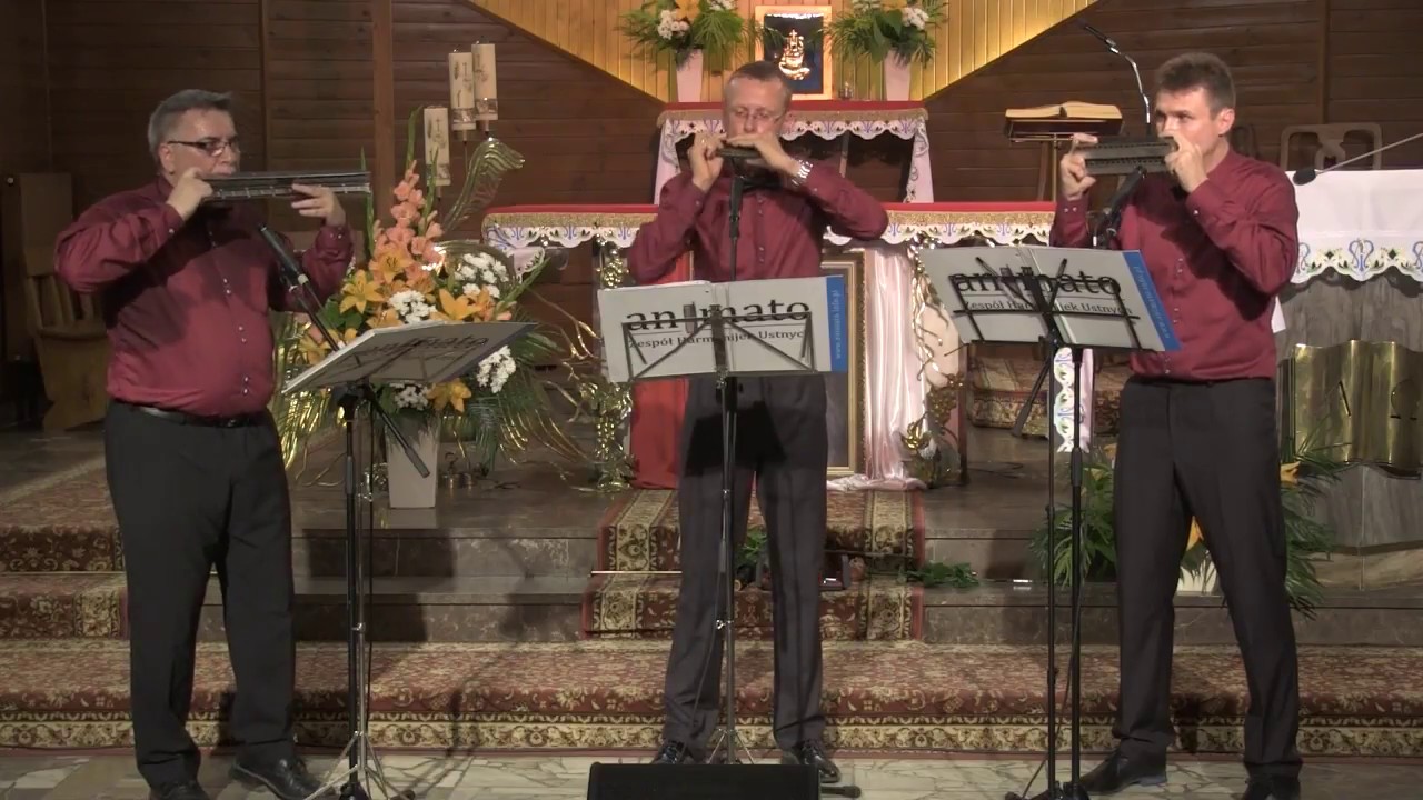 Zespół Harmonijek Ustnych ANIMATO