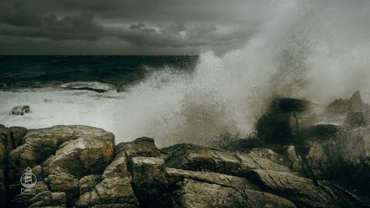 Psalm 31 My Times Are in Your Hands