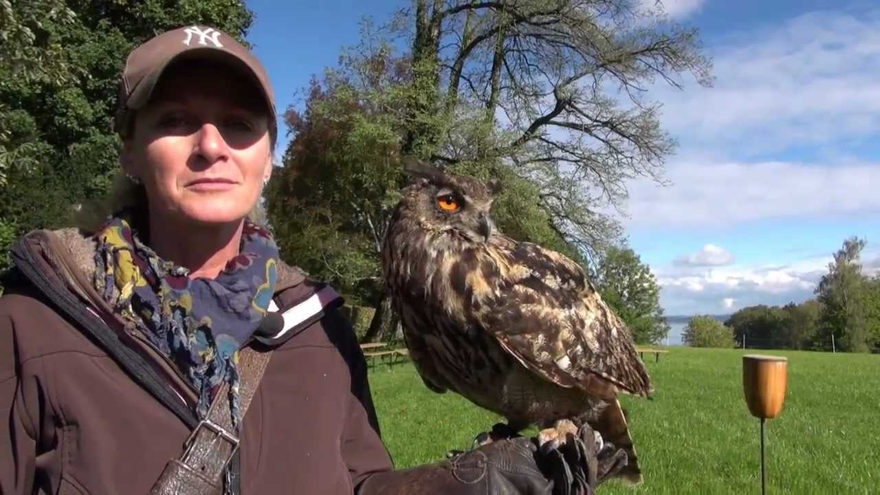 Greifvoegel Am alten Schloss Herrenchiemsee carly4711 Urlaubsclip auf Youtube 16.10.2012