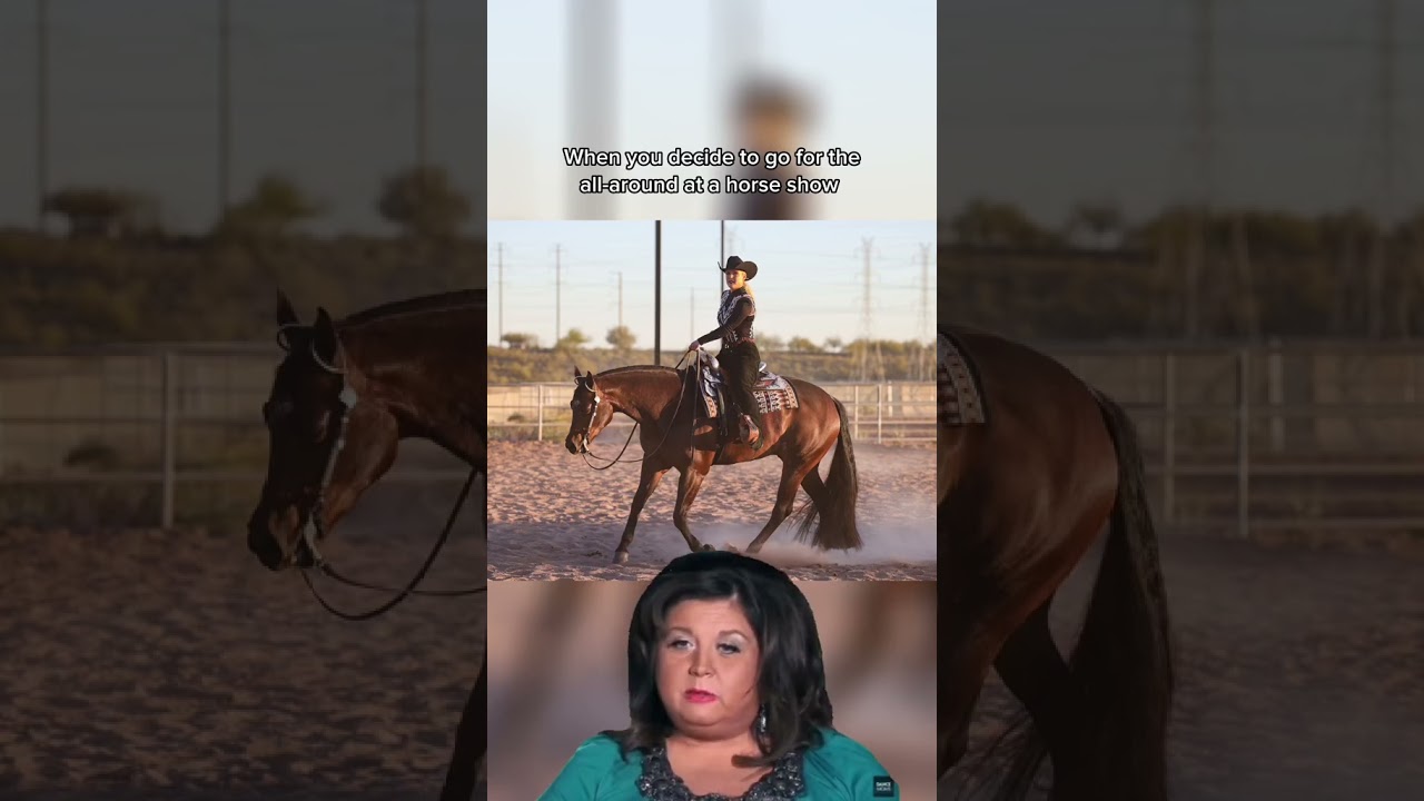 Doing the All-Around at a Horse Show #horses #shorts #equestrian