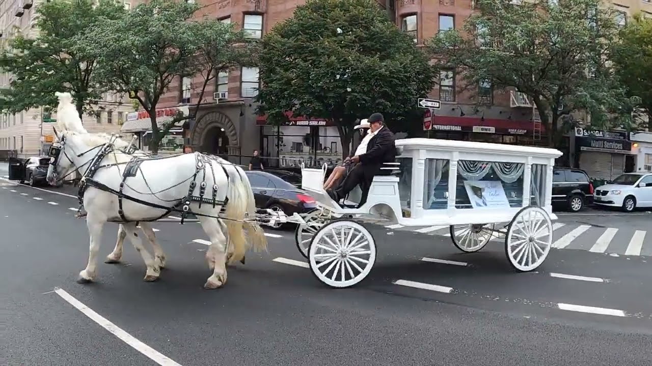 Celebrating The Life Of Robert Taylor - Royal Funeral Horse-Drawn Hearse Carriage Procession