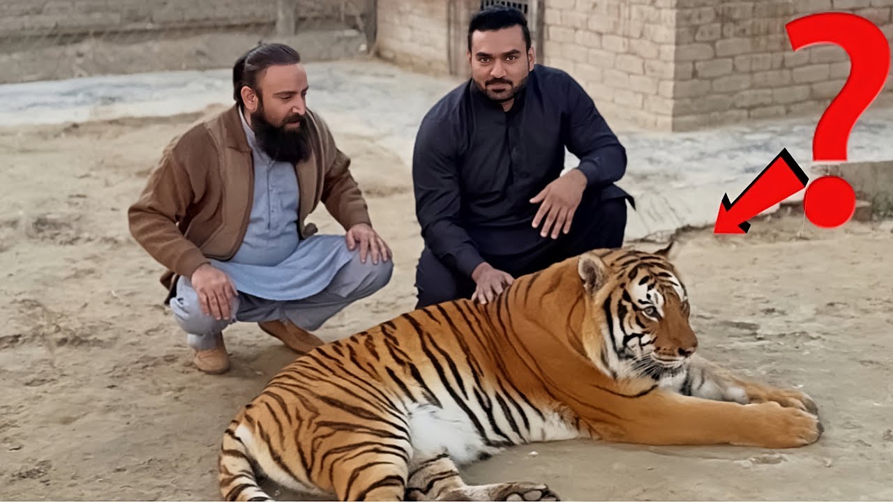 Wildlife ko Daikh Kay Lara Stress Lay Gai