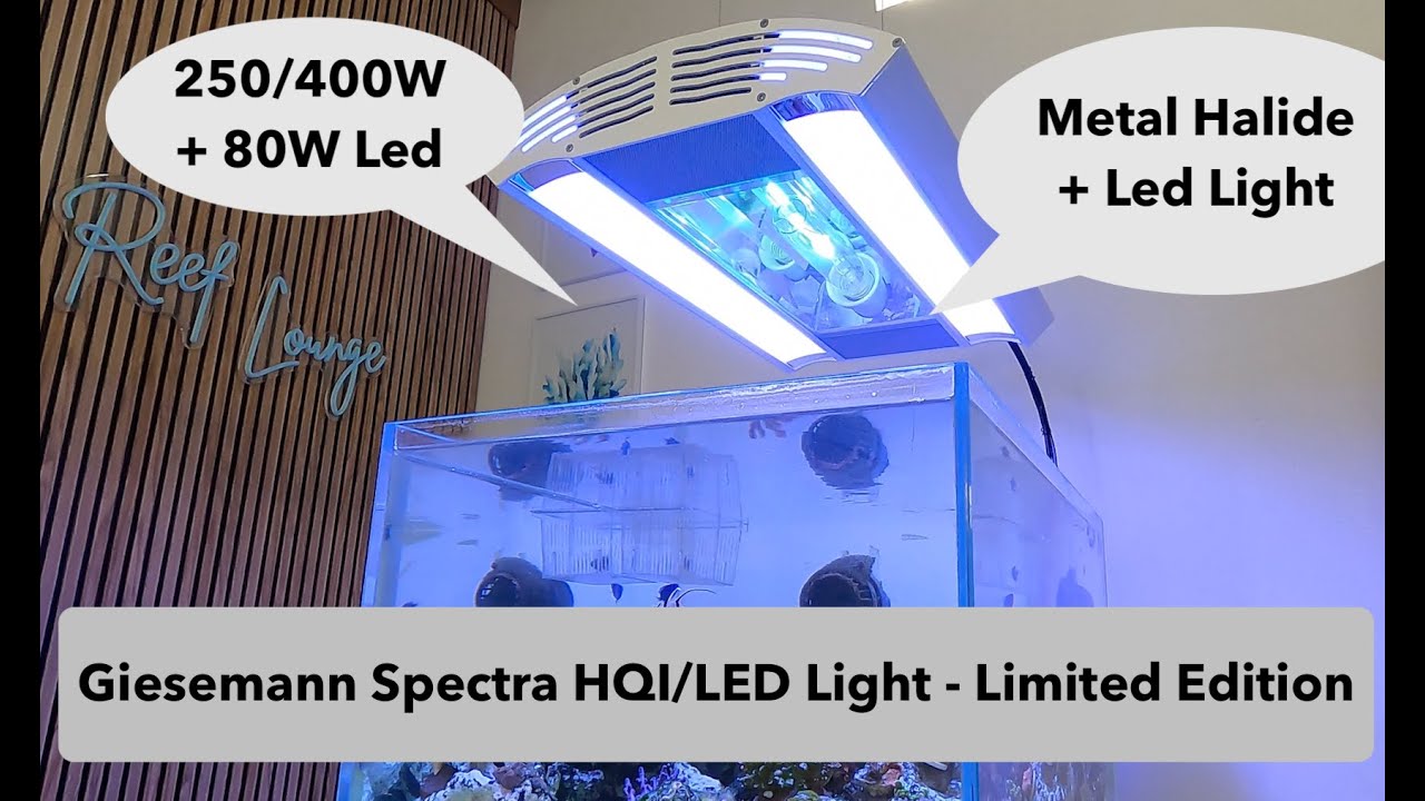 Metal Halide + Led - Best Light for SPS Corals - Giesemann Spectra