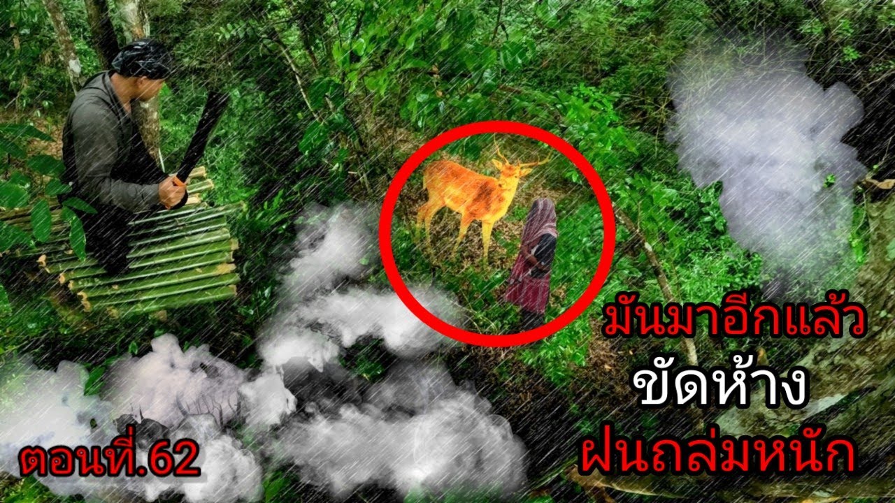 เกิดฝนตกหนักระหว่างขัดห้าง นอนป่าอาถรรพ์ มีเสียงเดินใต้ห้าง เกือบไม่รอด ตอนที่.62