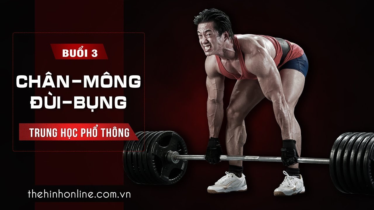 Lịch tập thể hình tăng cơ 6 buổi: Mông đùi Eo bụng | THPT