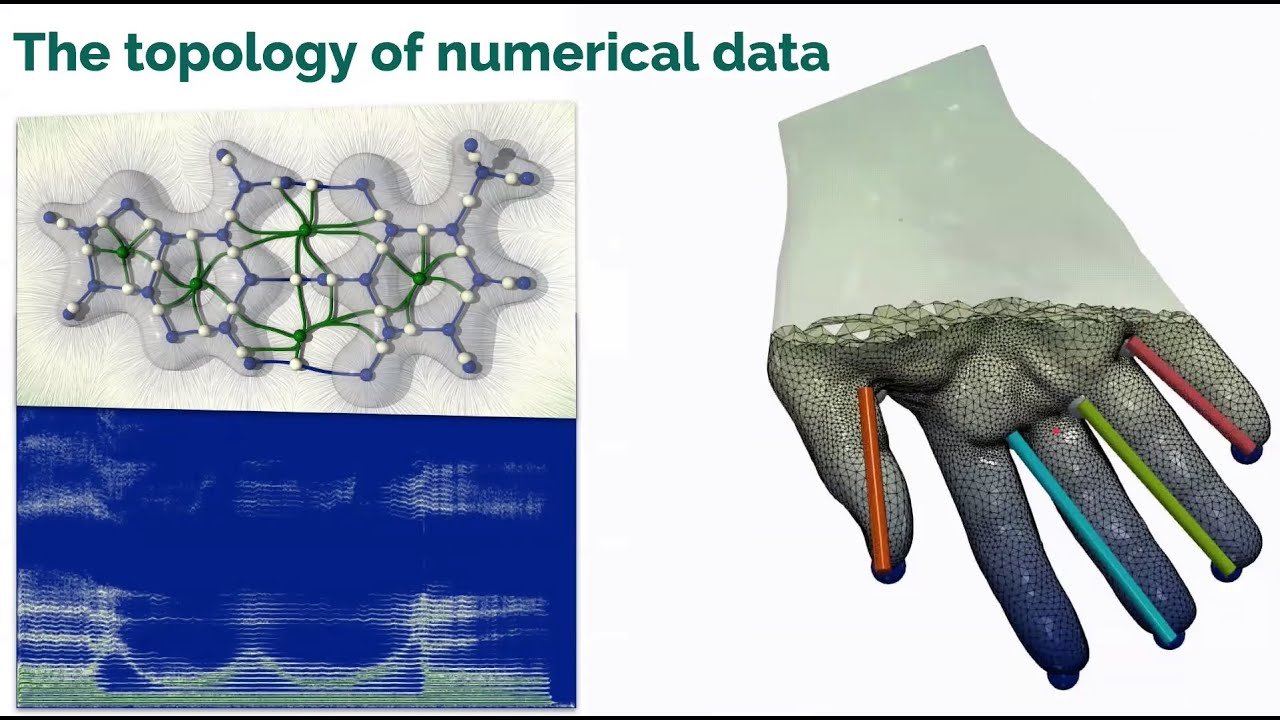 Topological analysis of massive datasets - Julien Tierny - Shape seminar