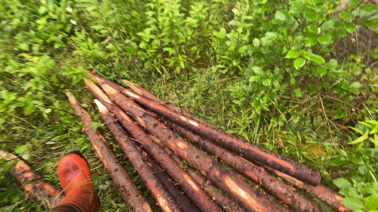 Ecological Forestry Practices in Nova Scotia