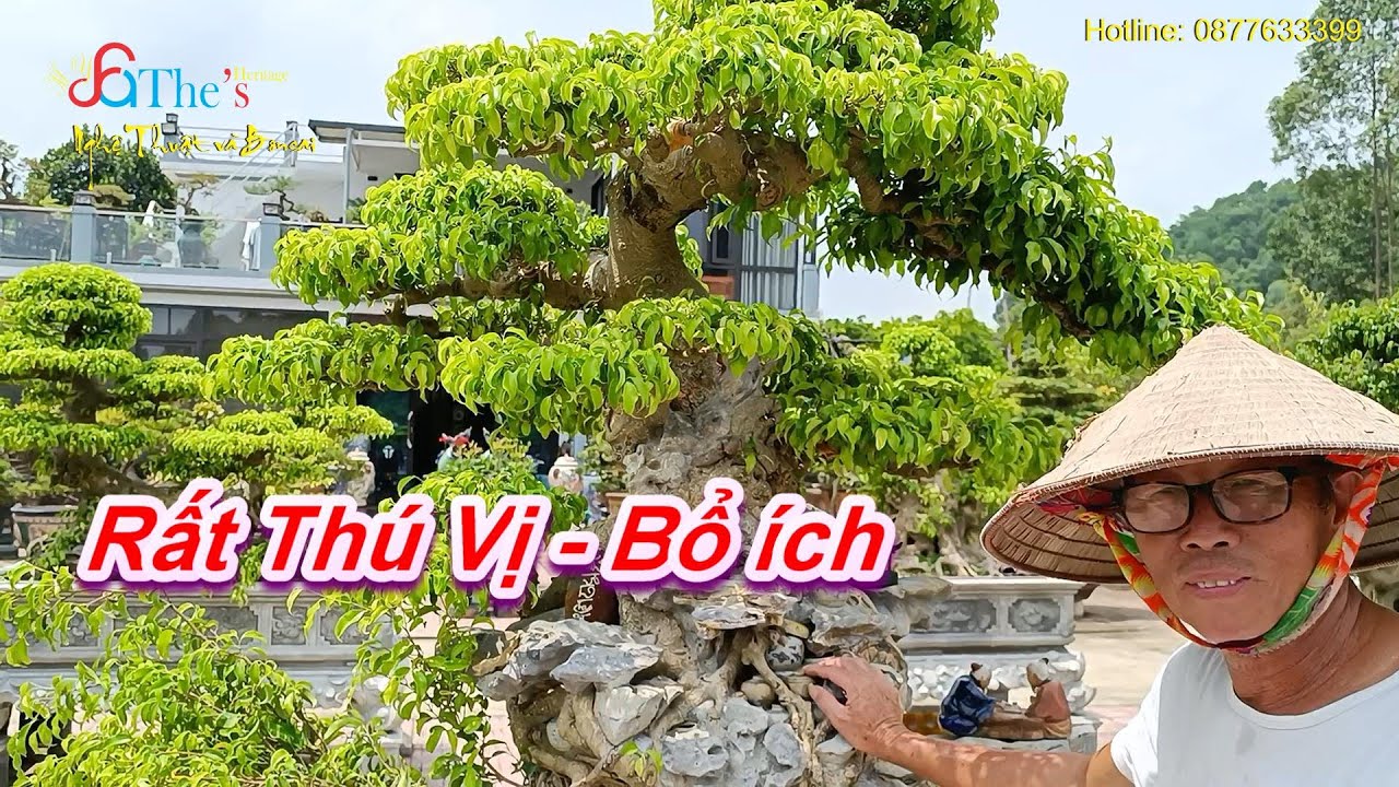 Cuộc trò chuyện bất ngờ rất thú vị và bổ ích với Chú Cường Họa Sỹ trên vườn cây Xóm Núi