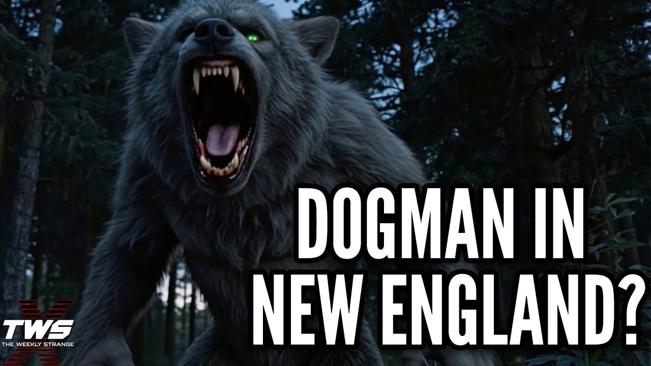 New England Dogman: Terrifying 8-Foot Apex Predators in Every State? THE WEEKLY STRANGE Episode 67