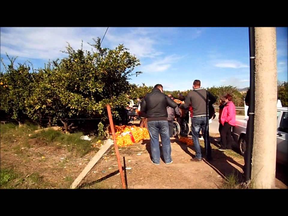 Po mandarine - 25. in 26. 10. 2014