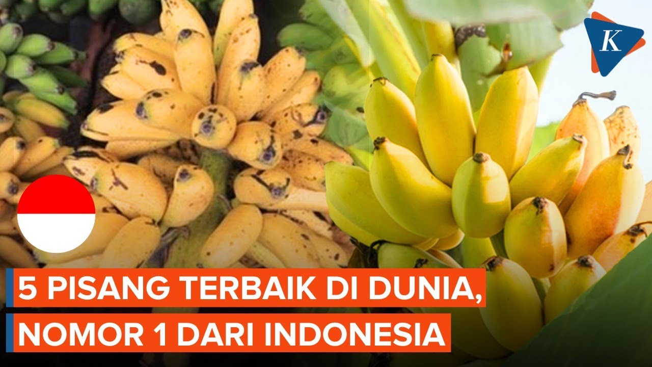 5 Pisang Terbaik di Dunia, Nomor 1 dari Indonesia