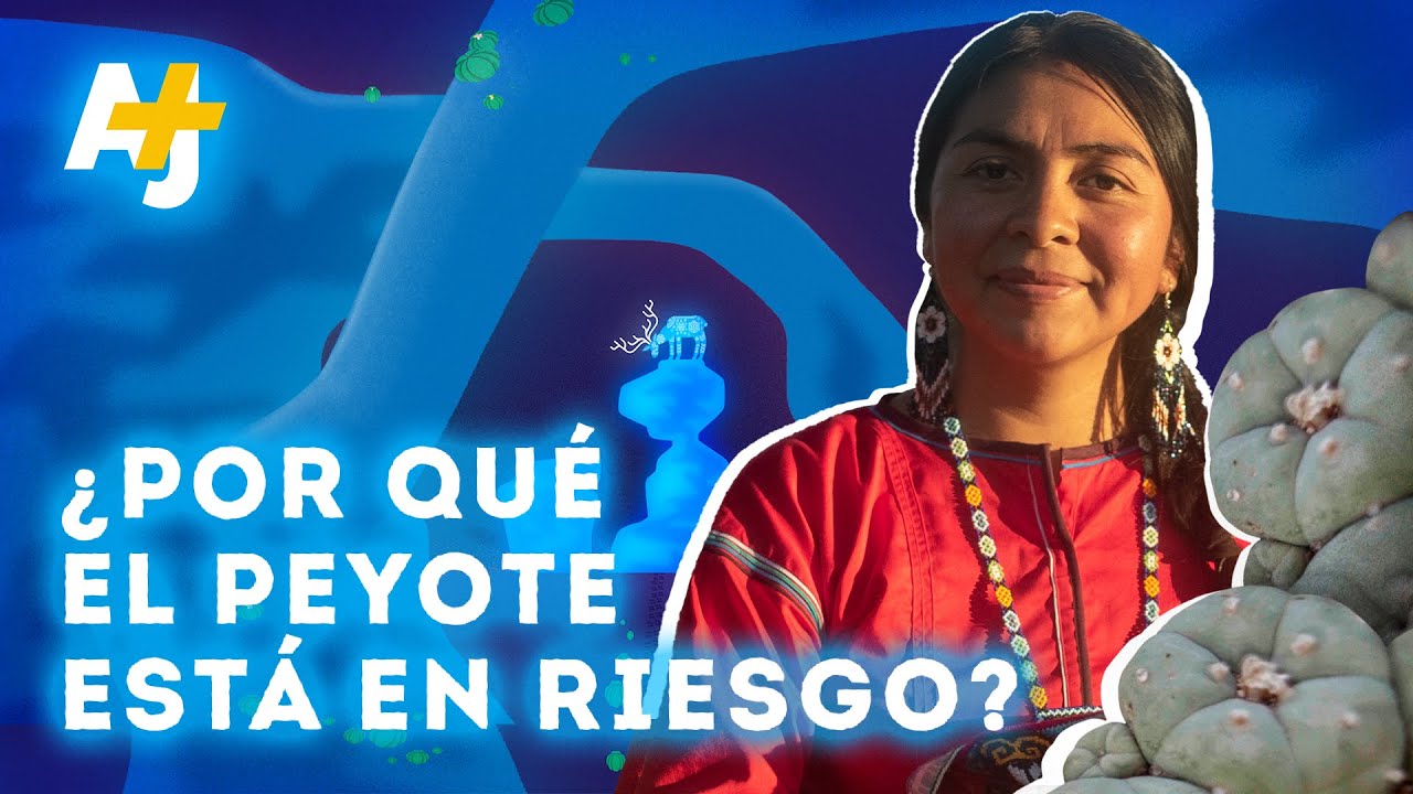 El verdadero precio del turismo del peyote | AJ+ Español