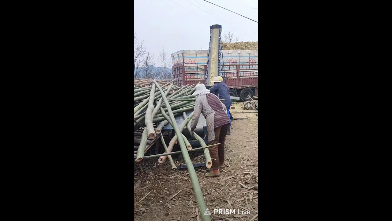 🔴LIVE🔴Wood processing
