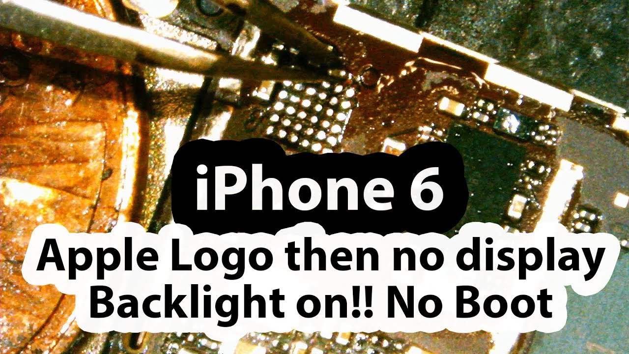iPhone 6 apple logo then no display no boot and backlight is on