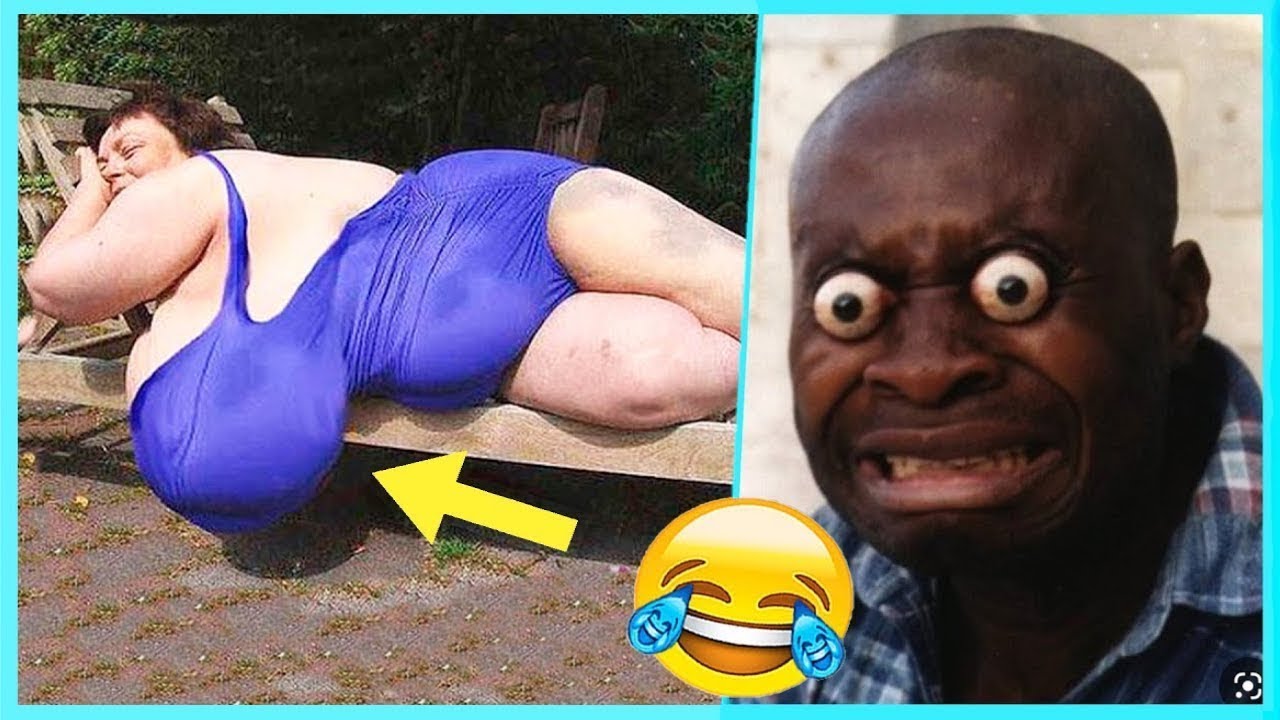 The Craziest Funny Videos in the World  Try Not to Laugh!🤣