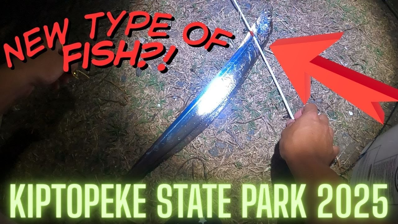 Fishing & Camping Adventure at Kiptopeke State Park! (New Fish Species Acquired!)