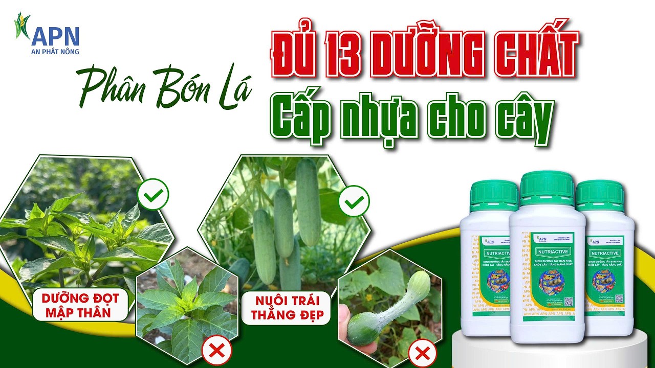 APN - PHÂN BÓN LÁ CHỨA 13 DƯỠNG CHẤT & ACID AMIN | NHỰA SỐNG CÂY TRỒNG