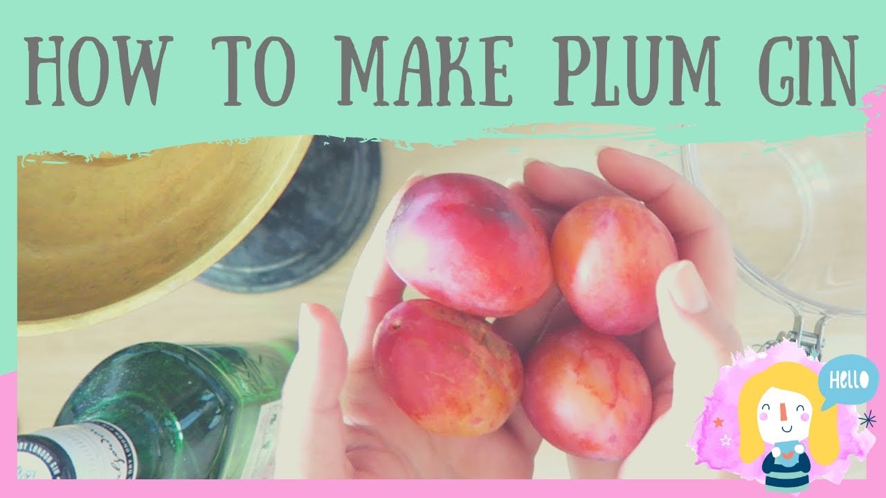 HOW TO MAKE PLUM AND CINNAMON GIN