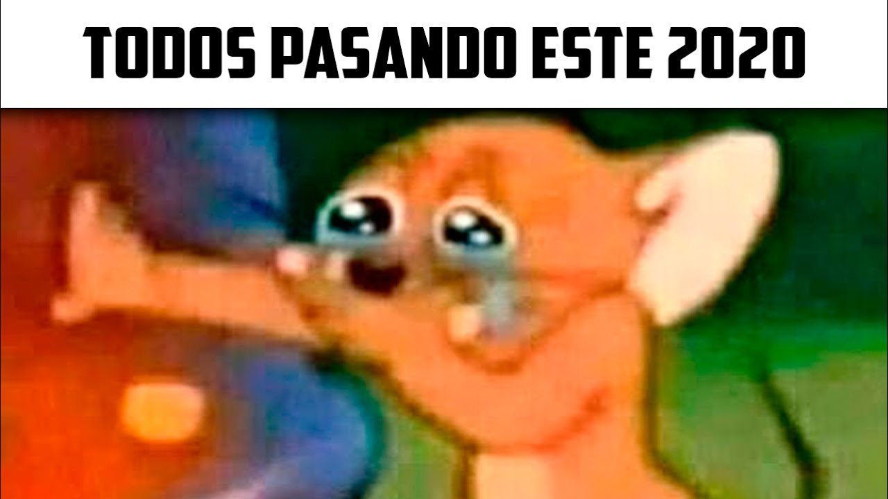 MEMES #101