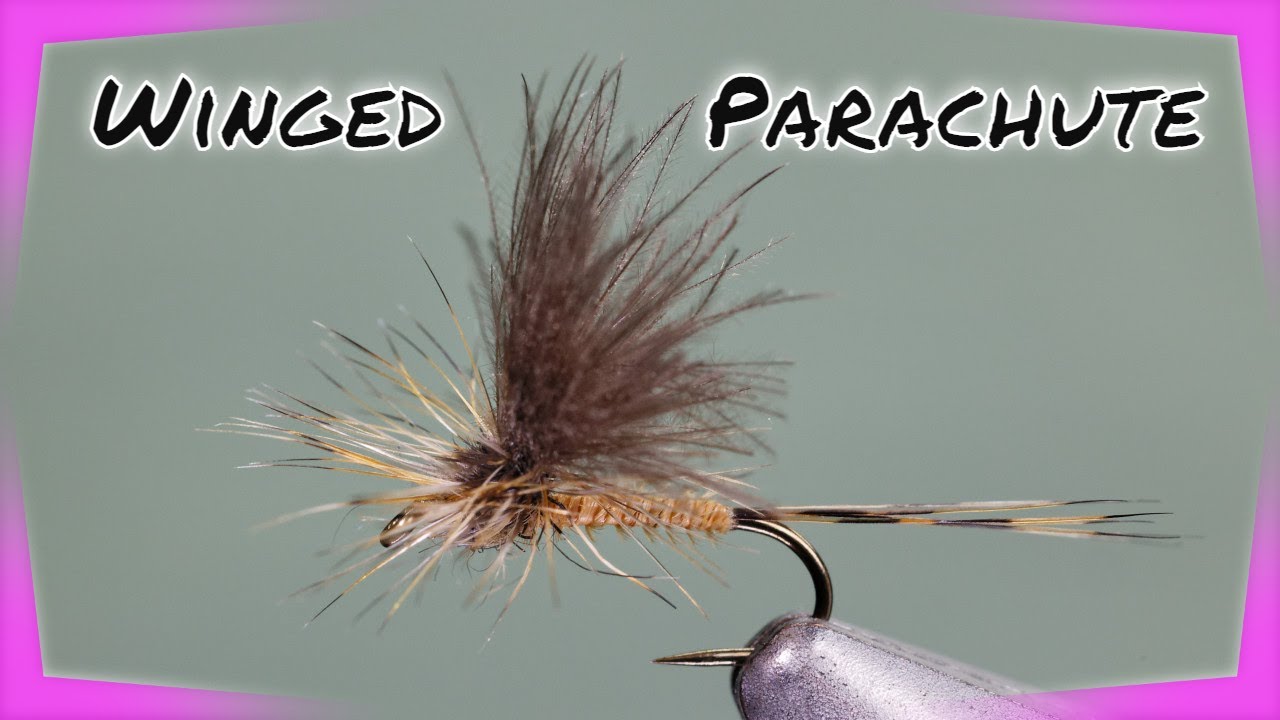Tying a CDC winged parachute dry fly pattern (Orange Dun)
